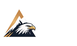 Accurion Advisors, LLC logo