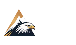 Accurion Advisors